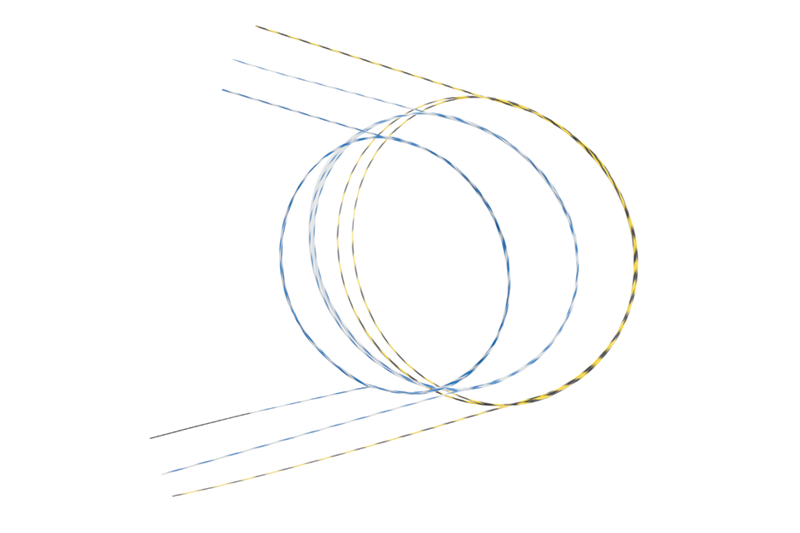 Primary Access & Navigation